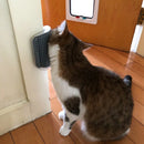 Massageador/Coçador de Quina para Gatos com Catnip